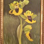 ophrys lutea pintura oleo original